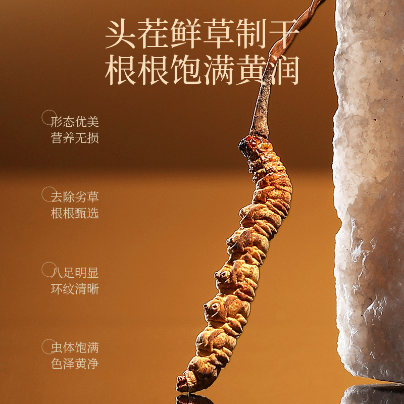 Premium Cordyceps Gift Box Dong Chong Xia Cao 5g Wild-Harvested Qinghai Origin Whole Stems - Image 4