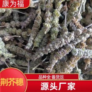 Jing Jie Spike (Schizonepeta tenuifolia) — Dried TCM Herb, 500g