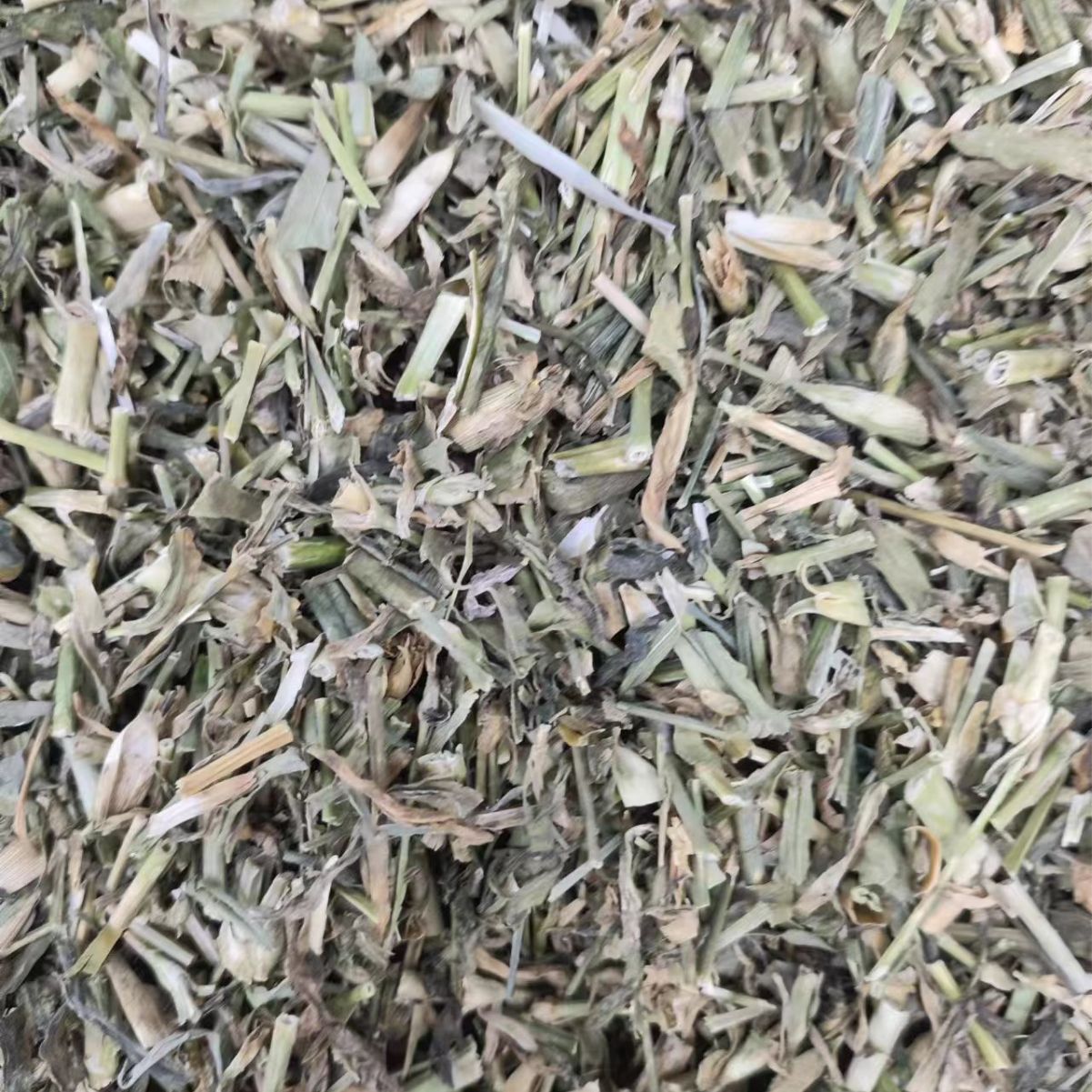 Qu Mai (Dianthus superbus) — Dried Chinese Herbal Flower for Tea & Decoction - Image 4