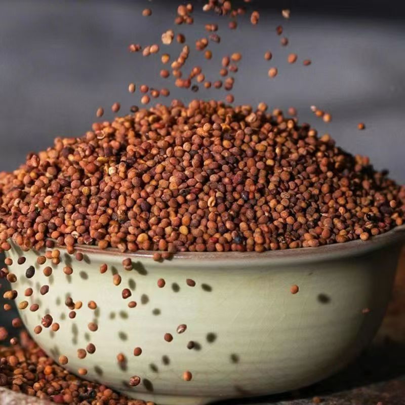 Dodder Seed Tu Si Zi 500g Dried Cuscuta Seeds for Wine Infusion Soup and Decoction - Image 3