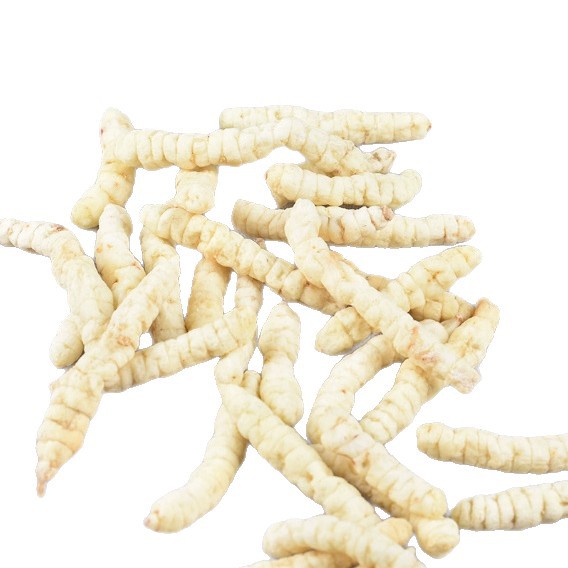 White Cordyceps Herb Cao Shi Can 300g Dried Stachys Root Slices for Herbal Soup and Tea - Image 5