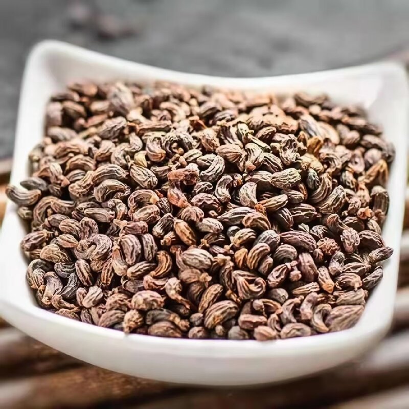 Nü Zhēn Zǐ (Ligustrum lucidum) — Dried Glossy Privet Fruit for Tea, Wine & Pillow - Image 3