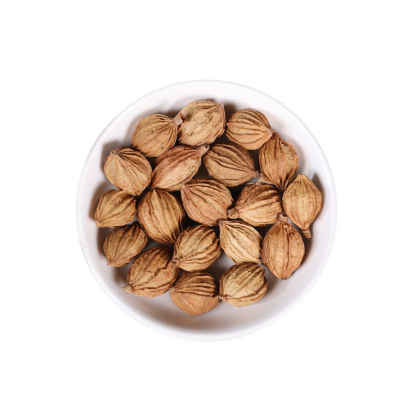 Premium Xiang Sha Fragrant Amomum Dried Herb 500g Traditional Culinary Spice - Image 5
