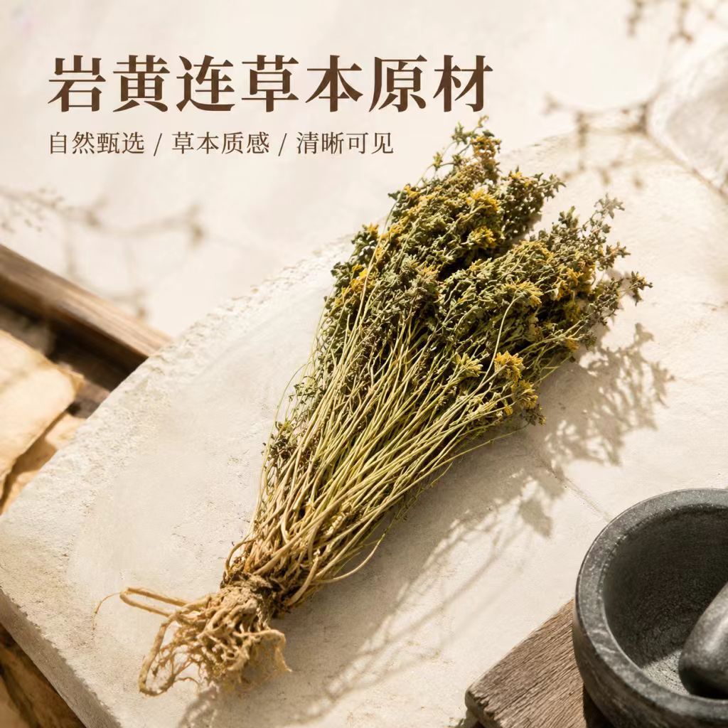 Yan Huang Lian Root (Corydalis saxicola) — Dried Bitter Food Herb for Cooking & Decoction - Image 2