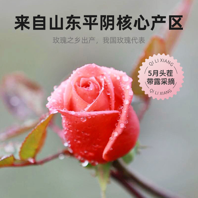 Dried Rose Bud Tea Double Petal Large Flower Buds 50g Loose Herbal Tea for Daily Brewing - Image 3