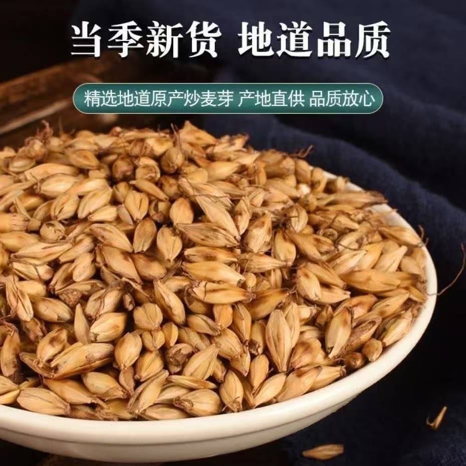 Malt (Hordeum vulgare) — Dried Hulled Barley Sprout for Herbal Tea & Soup, 500g - Image 2