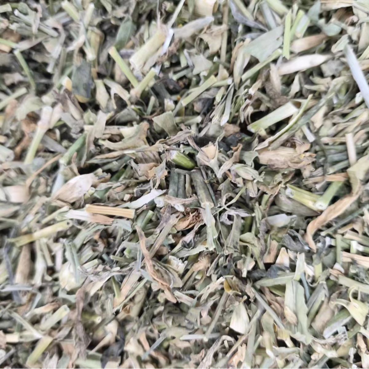 Qu Mai (Dianthus superbus) — Dried Chinese Herbal Flower for Tea & Decoction - Image 2