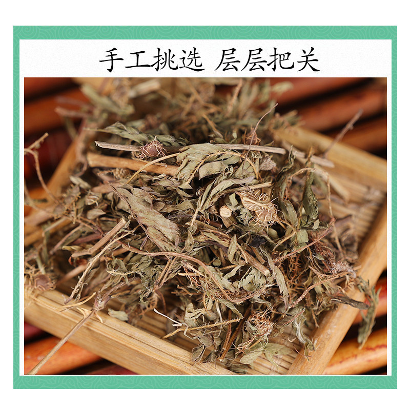 Wild Mimosa Herb Han Xiu Cao 500g Dried Sensitive Plant Whole Herb Traditional TCM Botanical - Image 3