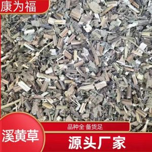 Xi Huang Cao (Rabdosia serra) — Dried Chinese Herbal Decoction Pieces, 500g
