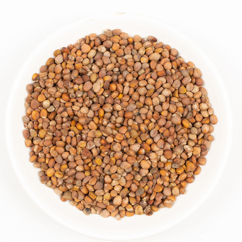 Dried Raphanus Seed Lai Fu Zi 500g Whole Radish Seeds for Herbal Decoction and Tea - Image 5