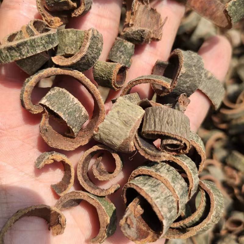 Magnolia Bark Hou Po 厚朴 Powder 500g Dried Herbal Powder for Decoction and Tea - Image 2