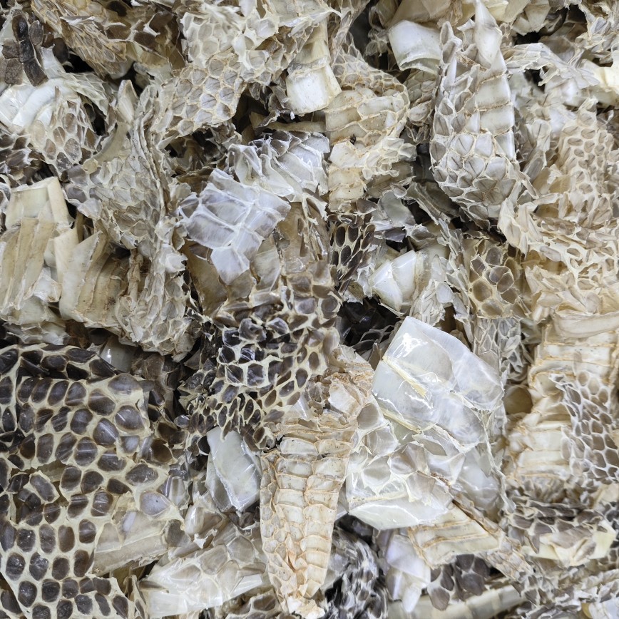 She Tui (Snake Slough) — Dried Shed Snake Skin, Traditional Chinese Herb, 500g - Image 4