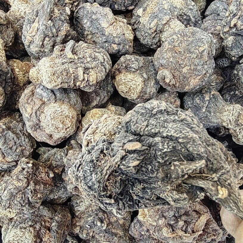 Maca Root (Lepidium meyenii) — Yunnan Black & Yellow Maca Slices, 500g Food Herb - Image 2