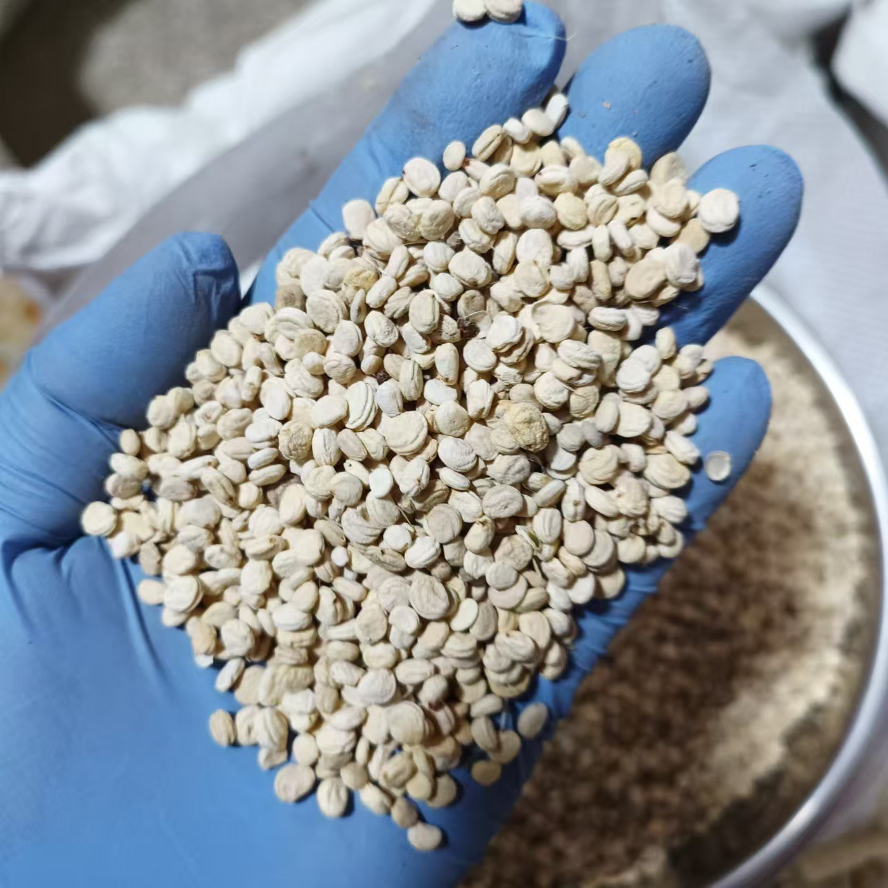 Dried Ginseng Seeds Plump White Ren Shen Zi 500g Traditional Herbal Use - Image 5