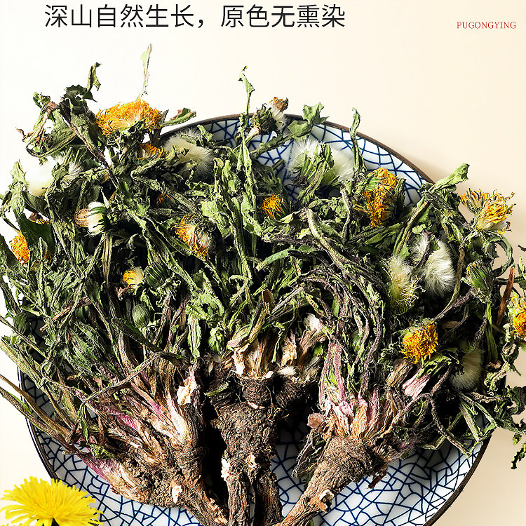 Dried Dandelion Whole Herb Pu Gong Ying 500g Wild Harvested Traditional Herbal Tea and Decoction Ingredient - Image 4