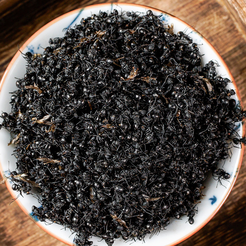 Black Ant Powder (Polyrhachis / Formica) — Dried Food-Use Ant Ingredient for Wine Soaking & Herbal Blends - Image 2