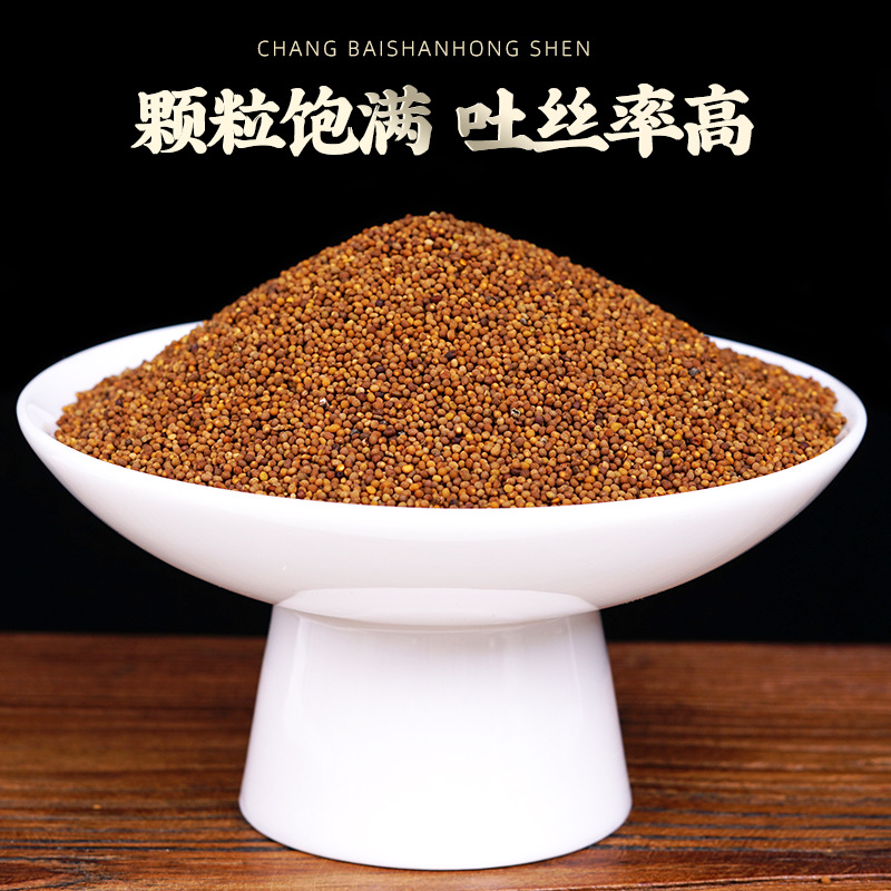 Tu Si Zi (Cuscuta chinensis) — Dried Food Herb Seeds, Washed & Unsulfured, 500g - Image 2