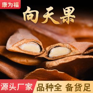 Xiang Tian Guo (Swietenia macrophylla) — Dried Sky Fruit Seeds, 500g Raw Herb