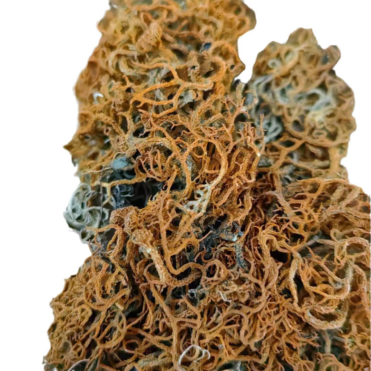 Jin Shua Ba (Song Shi Rui / Golden Broom Lichen) — Dried Chinese Herbal Ingredient, 500g - Image 5