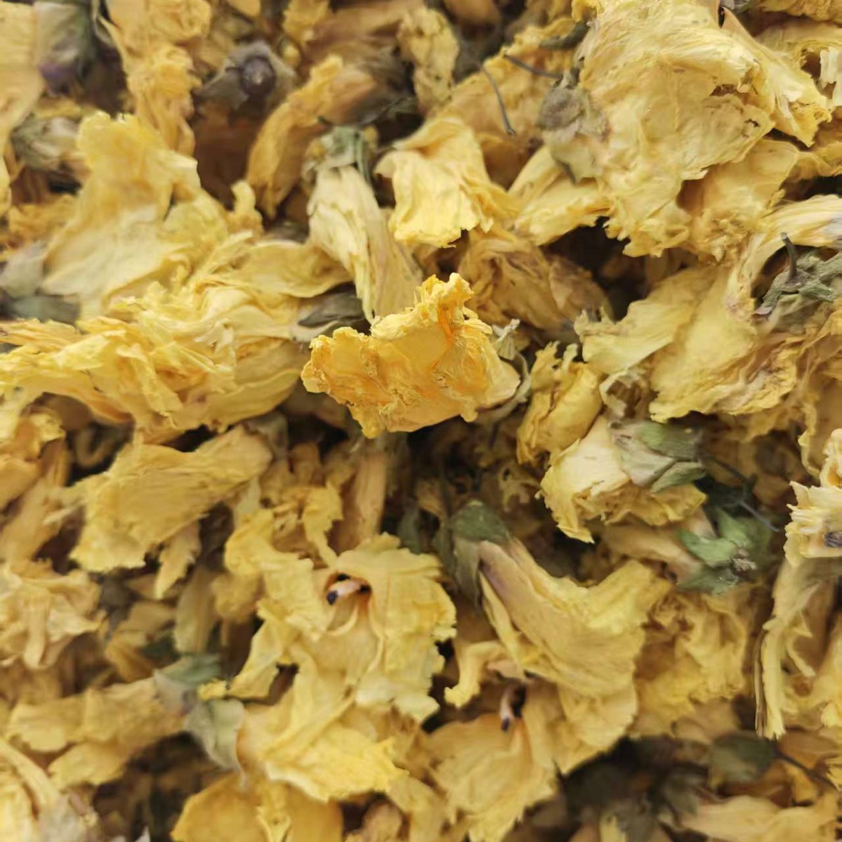 Huang Shu Kui Flower (Abelmoschus manihot) — Dried Food-Herb Blossoms for Tea & Cooking - Image 2