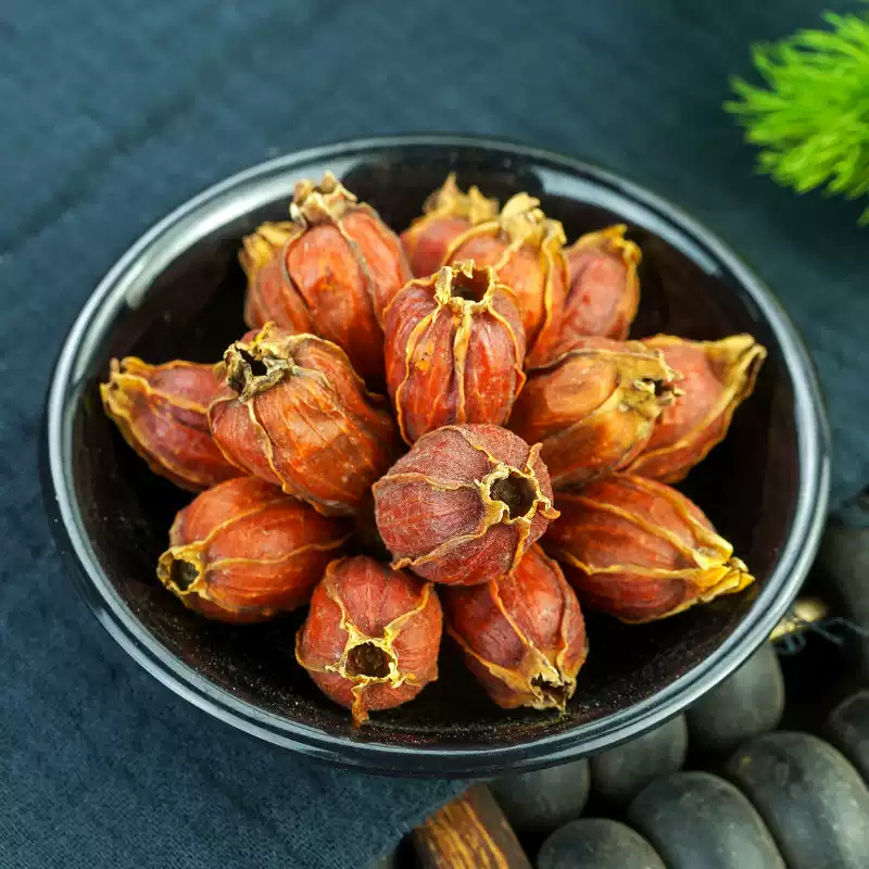 Dried Gardenia Fruit Zhi Zi 500g Whole Gardenia jasminoidis Fruit for Tea Wine and Foot Soak - Image 2