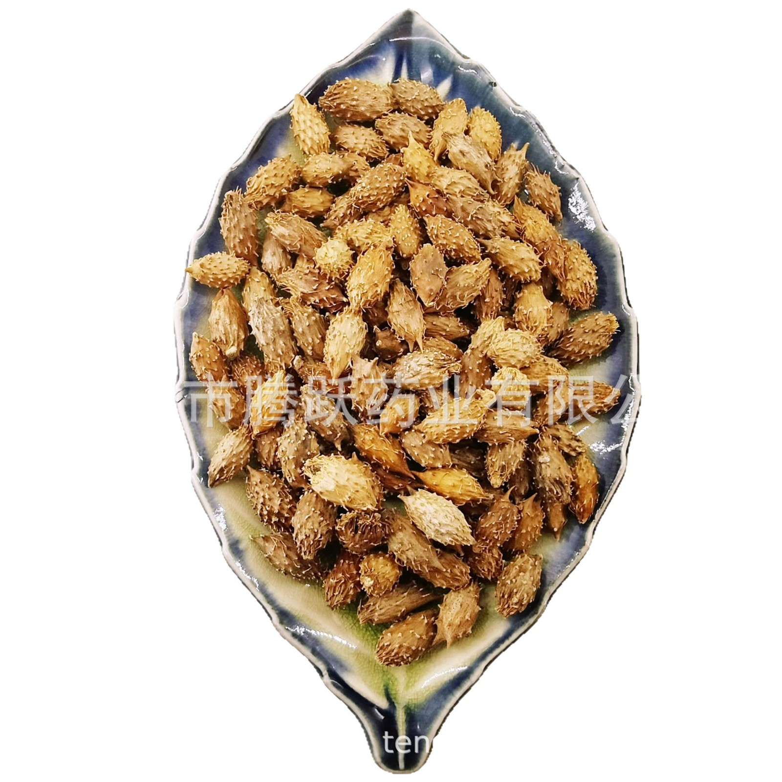 Cang Er Zi Dried Xanthium Fruit Whole Form Traditional Chinese Herb 500g Bag - Image 5