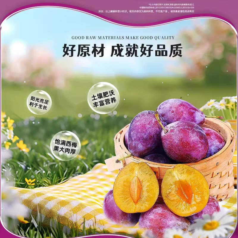 Prebiotic Prune Juice Concentrate Ready to Drink 150ml High Fiber Fruit and Vegetable Beverage - Image 2