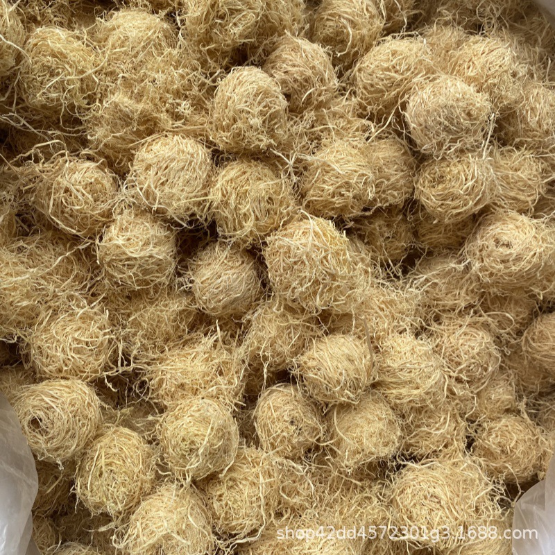 Zhu Ru (Bambusa tuldoides) — Dried Bamboo Shaving Balls, Food Herb for Tea & Soup - Image 2