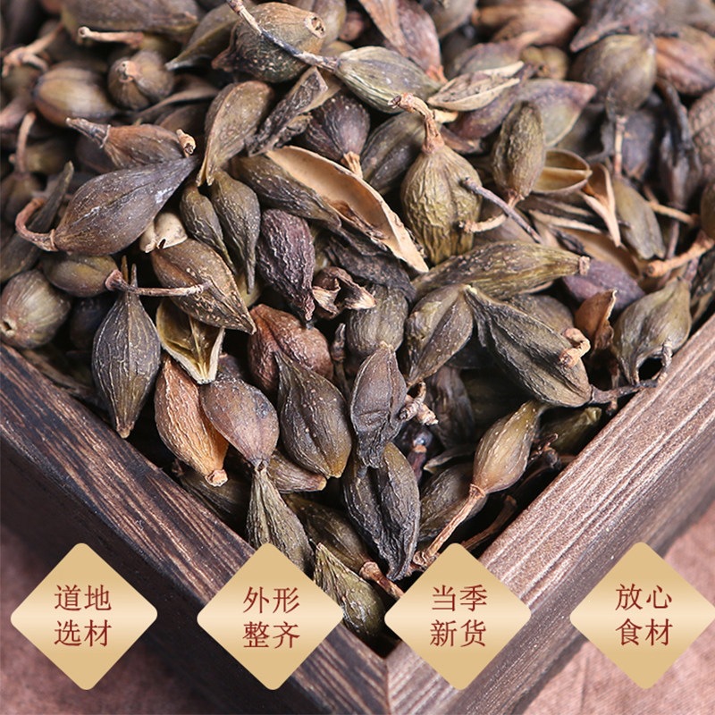 Wild Forsythia Fruit Lian Qiao Dried Herb Hand Selected 50g Jar - Image 2