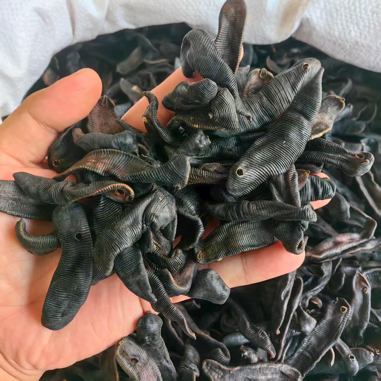 Dried Leech Shui Zhi 水蛭 Whole Dried Medicinal Herb 500g Traditional TCM Ingredient - Image 3
