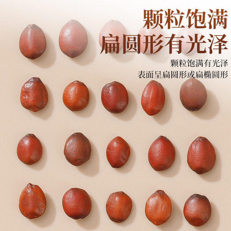 Sour Jujube Seed Suan Zao Ren 500g Dried Ziziphus Seeds for Herbal Tea and Decoction - Image 4