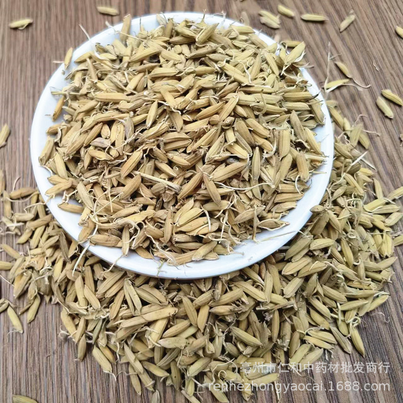 Dried Rice Sprout Dao Ya Whole Sprouted Grain Raw Herb for Decoction and Tea - Image 2