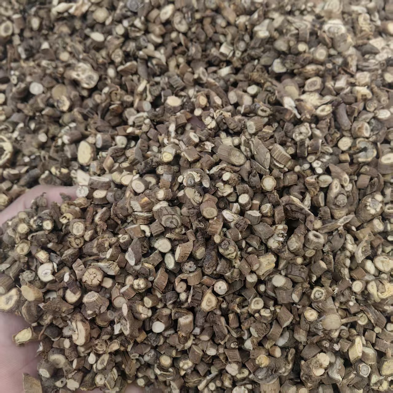 Chai Hu Bupleurum Root Powder 500g North Chaihu Traditional Herbal Powder for Decoction and Tea - Image 3