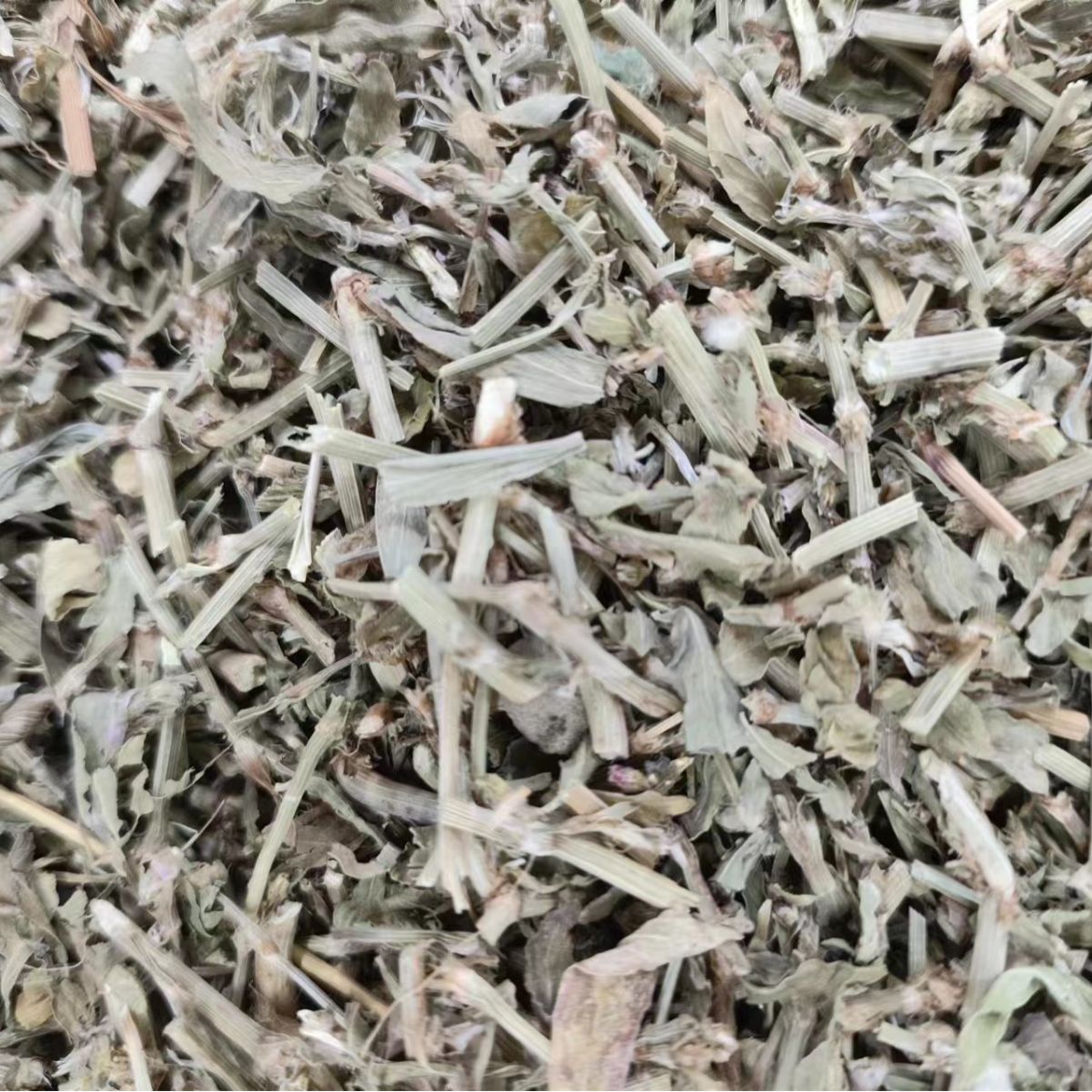 Bian Xu (Polygonum aviculare) — Dried Aerial Herb, Food-Herb for Tea & Decoction - Image 3