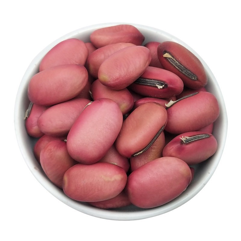 Red Sword Bean Seeds (Canavalia gladiata) — Dried Food Herb, 500g - Image 2