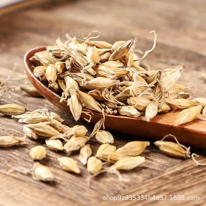 Dried Fried Malt Sprouts Chao Mai Ya 500g Loose Herbal Ingredient for Decoction and Culinary Use - Image 2