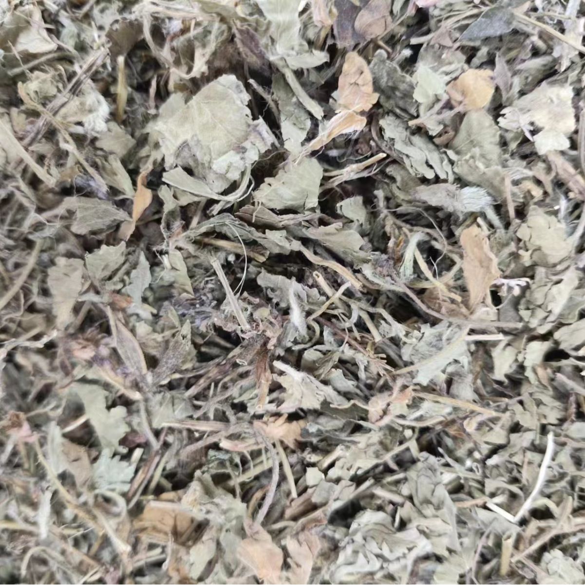 She Mei (Duchesnea indica) — Dried Mock Strawberry Herb, Food-Herb Botanical for Tea & Decoction - Image 3