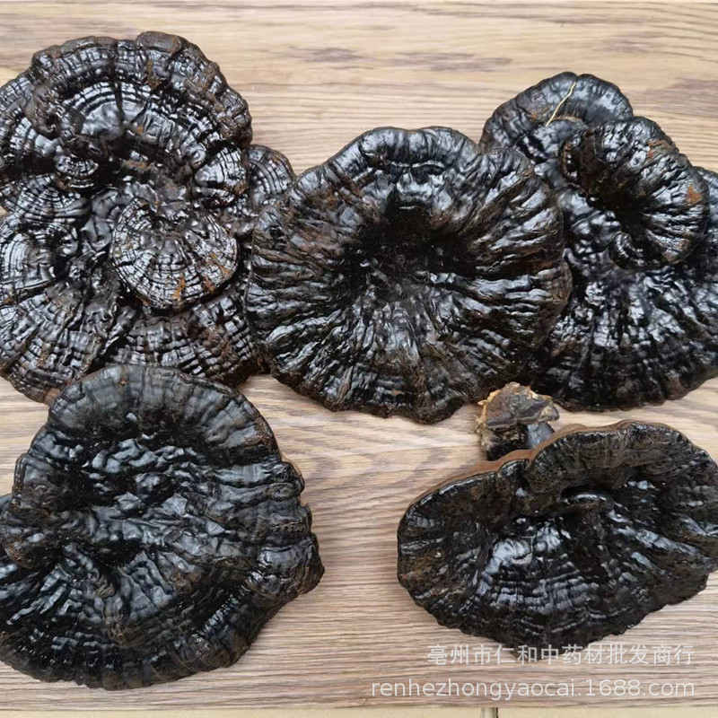 Changbai Mountain Black Reishi Lingzhi Whole Dried Mushroom Traditional Herbal Decoction - Image 3