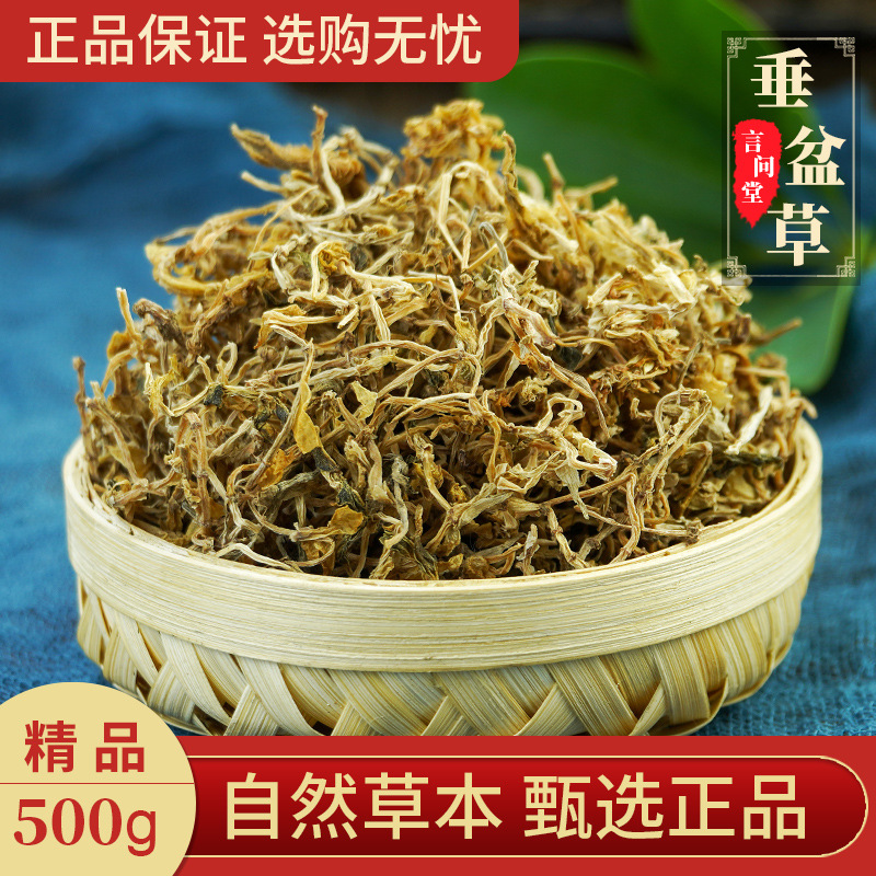 Dried Sedum Herb Chui Pen Cao 500g Wild-Crafted Whole Plant for Tea and Decoction - Image 3