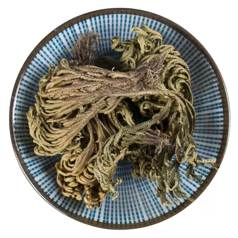 Dried Selaginella Whole Herb Juan Bai Cuan 500g Traditional TCM Botanical - Image 5