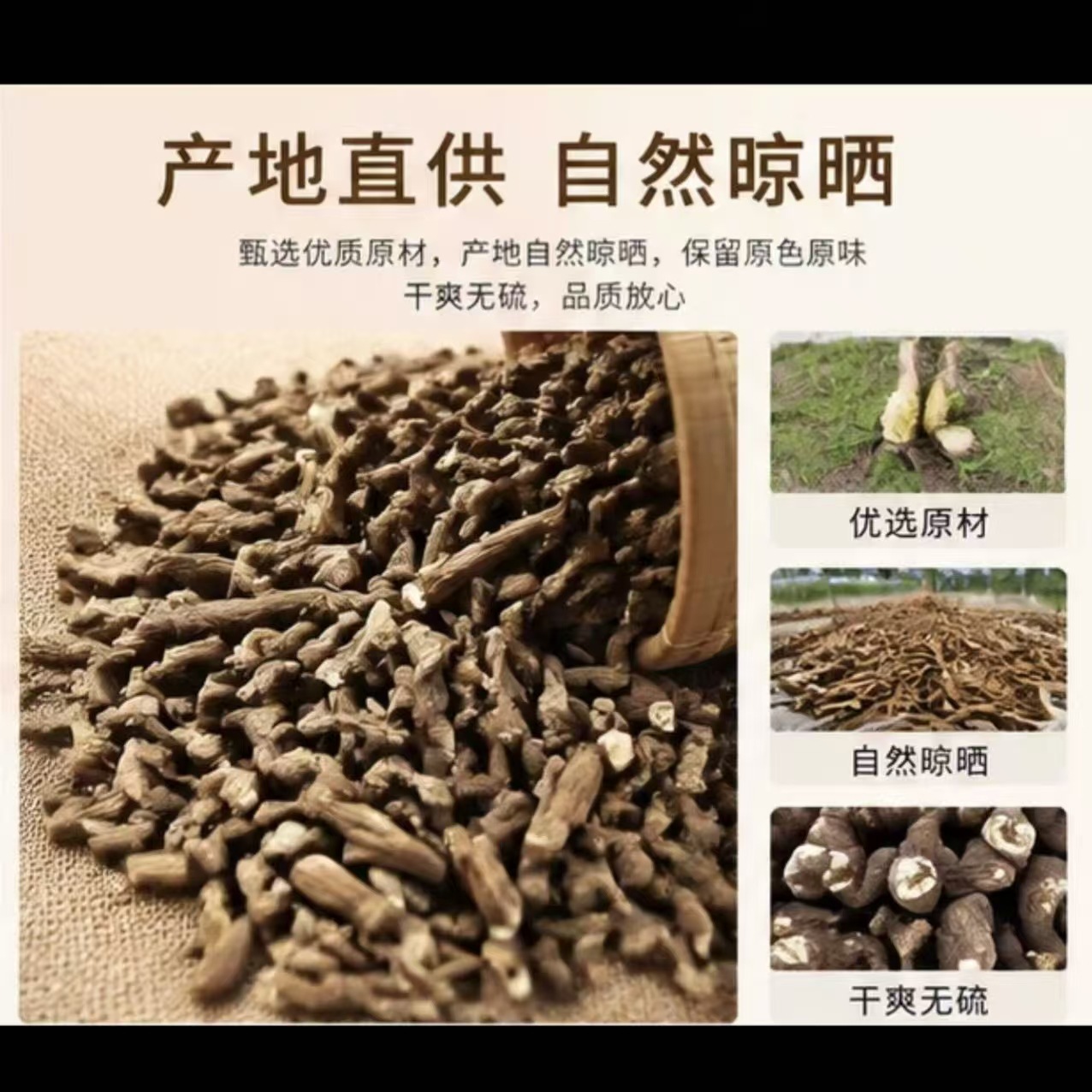 Dried Dandelion Root Cut Pu Gong Ying Herbal Tea Ingredient 1000g Bulk Bag - Image 2