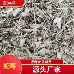 She Mei (Duchesnea indica) — Dried Mock Strawberry Herb, Food-Herb Botanical for Tea & Decoction