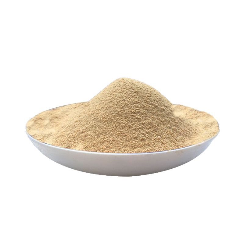 Dang Shen Powder Codonopsis Root Fine Ground Herbal Powder 500g Bulk Culinary and Tea Use - Image 5