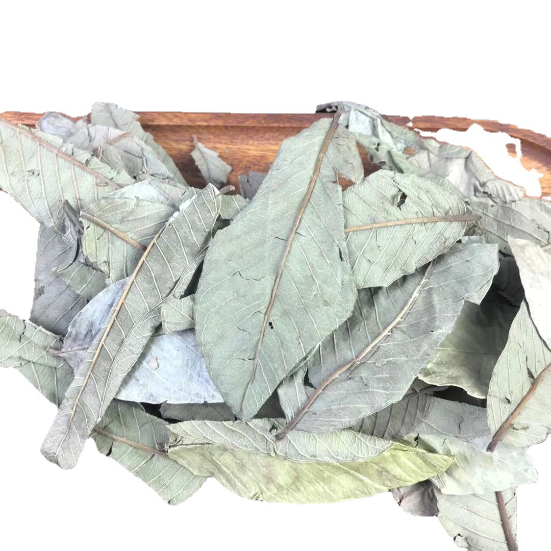 Guava Leaf Tea 番石榴叶 Fan Shi Liu Ye Dried Herbal Tea Leaves 500g for Daily Brew - Image 5