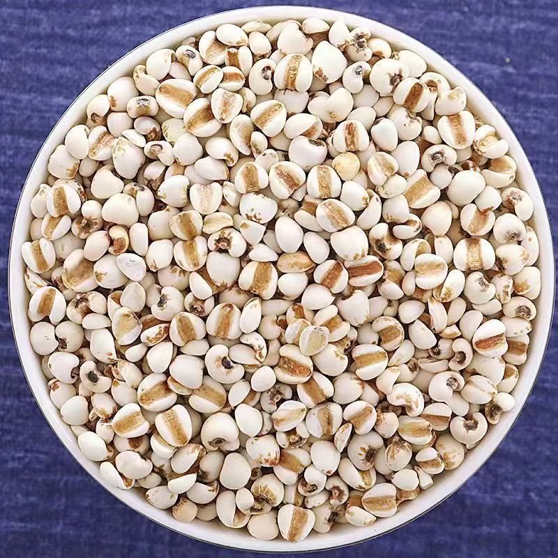 Roasted Coix Seed Powder Yi Yi Ren 薏苡仁 Coix lacryma-jobi 500g Herbal Powder for Drinks and Congee - Image 4