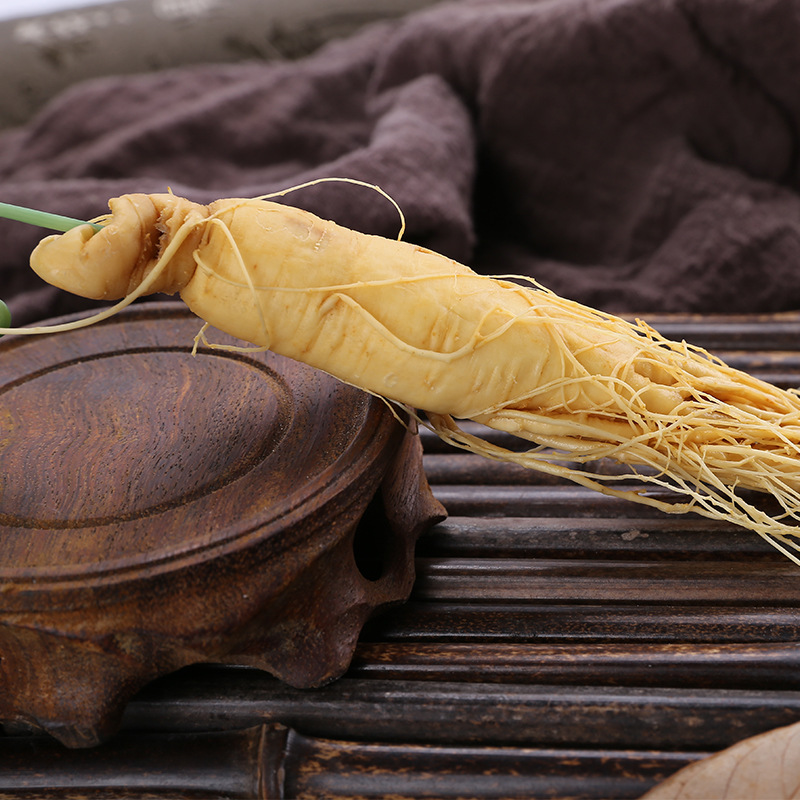 Changbai Mountain Fresh Ginseng (Panax ginseng) — Whole Roots for Wine & Soup - Image 2