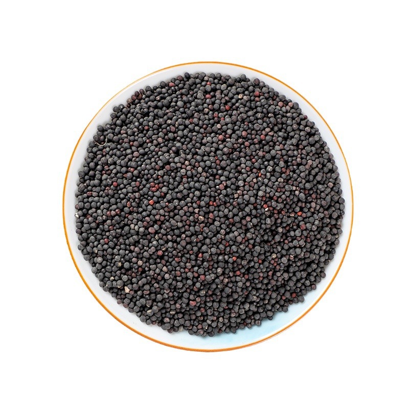 Wang Bu Liu Xing (Vaccaria segetalis) — Dried Cowherb Seeds, Food Herb for Tea & Soup - Image 5