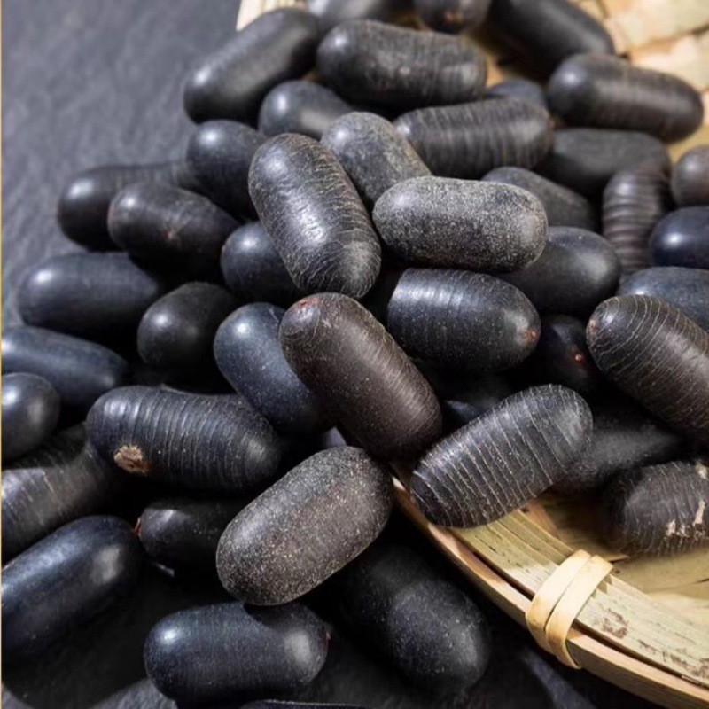 Wild Guangxi Shuang Shen Zi (Double Kidney Seed) — Dried Herbal Fruit for Wine Infusion & TCM Blends - Image 3