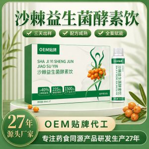 Sea Buckthorn Probiotic Enzyme Drink (Hippophae rhamnoides) — Food-Herb Botanical Beverage