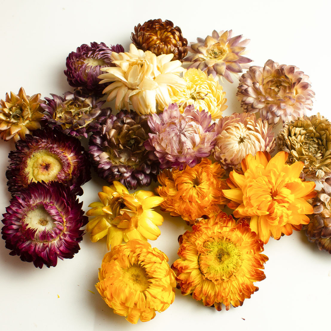 Seven-Color Chrysanthemum Tea 250g Dried Qicai Ju Flowers Loose Herbal Infusion for After-Meal Drinking - Image 2